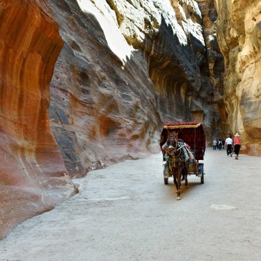 Horse carriage in a gorge, Siq canyon in Petra clipart