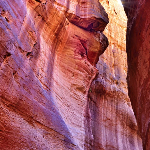 Garganta Siq en Petra, Jordania — Foto de Stock