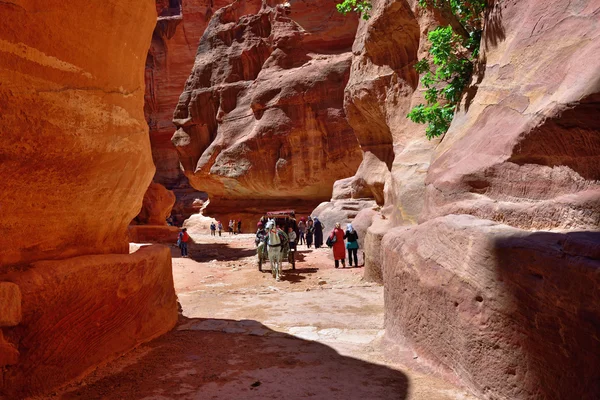 Siq-Schlucht in Petra — Stockfoto