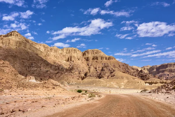 Camino en el desierto — Foto de Stock