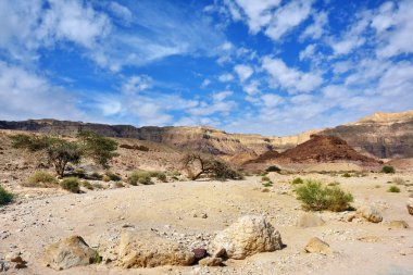 Negev Çölü, İsrail