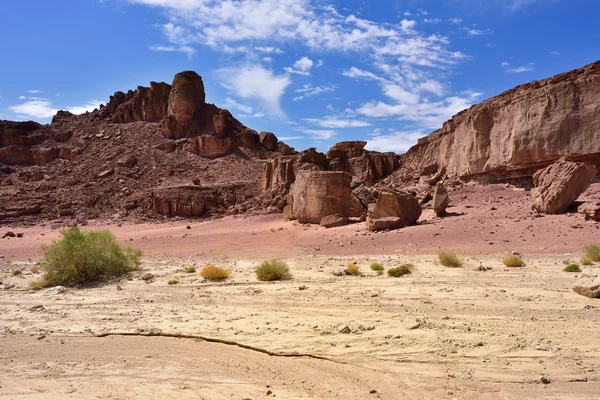 Negev desert — Stock Photo, Image