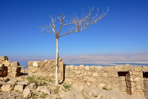 Pevnost masada, Izrael — Stock fotografie