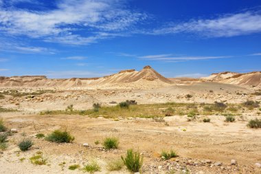 Negev Çölü 
