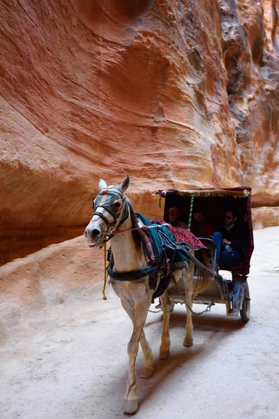 Carruaje de caballos en un desfiladero, cañón Siq en Petra — Foto de Stock