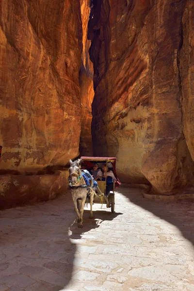 Carruaje de caballos en un desfiladero, cañón Siq en Petra Fotos De Stock