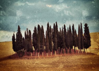 Tuscan kırsal manzara