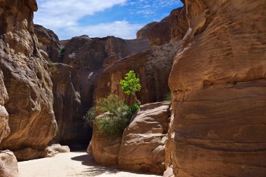 siq gorge, petra, jordan