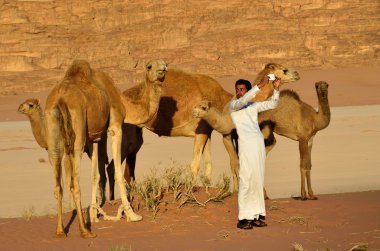 Wadi Rum Çölde deve adamla 