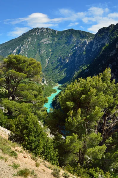 Verdon. —  Fotos de Stock