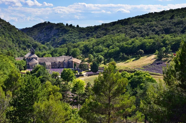 Senanque Manastırı — Stok fotoğraf