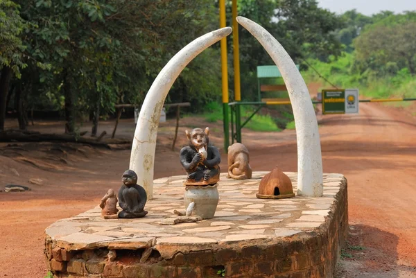 Uganda — Fotografia de Stock