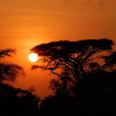 Afrika günbatımı