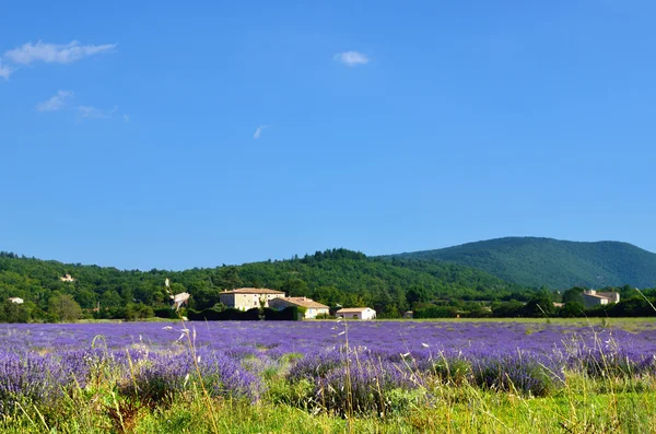 Provence, Frankrike — Stockfoto
