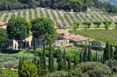Tarım arazisi, Provence, Fransa