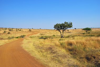 Afrika peyzaj