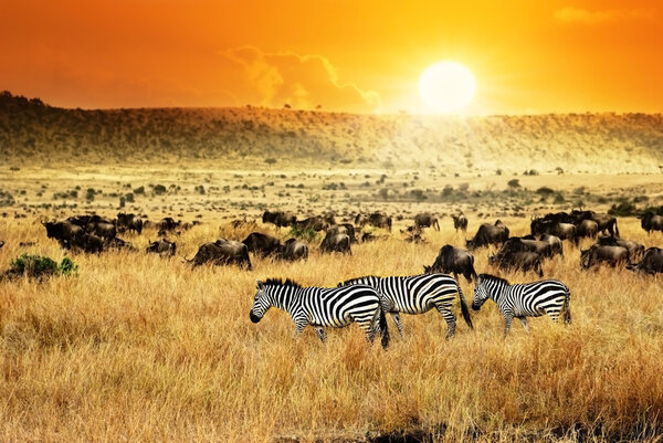 African sunset