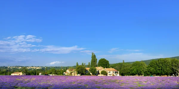 Provence landskap — Stockfoto