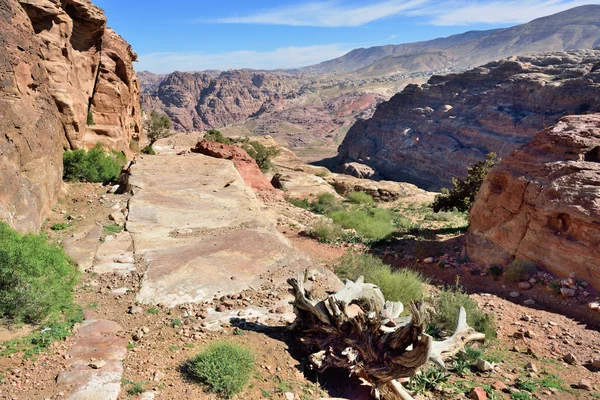 Petra, Jordan — Stock Photo, Image