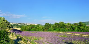 Provence, Fransa