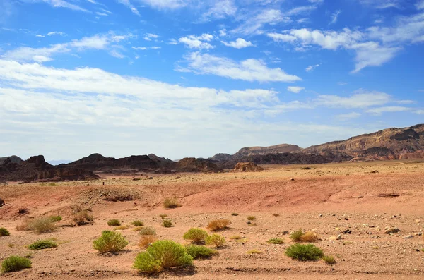 Parco Timna, Israele — Foto Stock