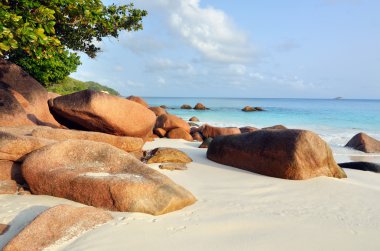 Seychelles adaları 