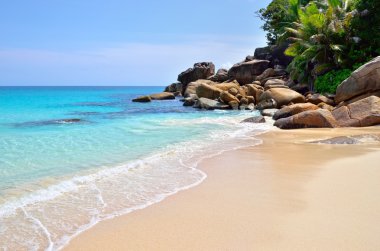  Seychelles adaları