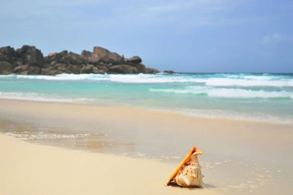 Seychelské ostrovy — Stock fotografie