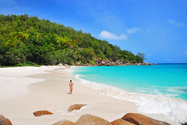 Seychellen — Stockfoto