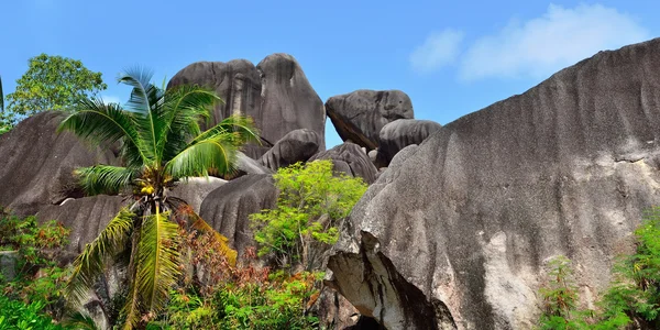 Στο νησί La Digue, Σεϋχέλλες — Φωτογραφία Αρχείου