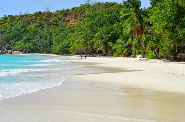 Seychelles-szigetek, Praslin, Anse Lazio — Stock Fotó