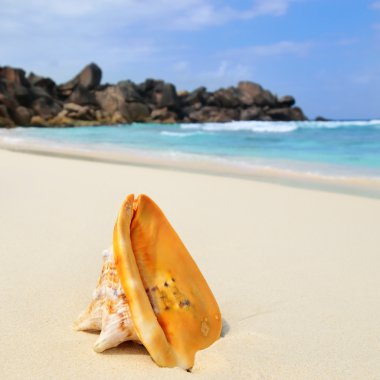 Seyşeller, La Digue