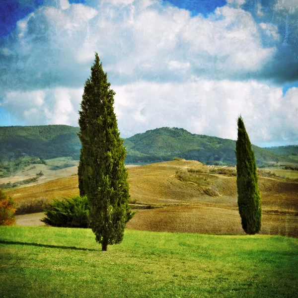 Paysage rural idyllique toscan — Photo