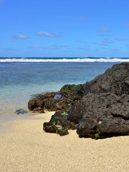 Uyarı, Mauritius — Stok fotoğraf