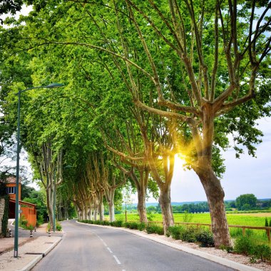 Provence, Fransa kırsal kesimde asfalt yol.