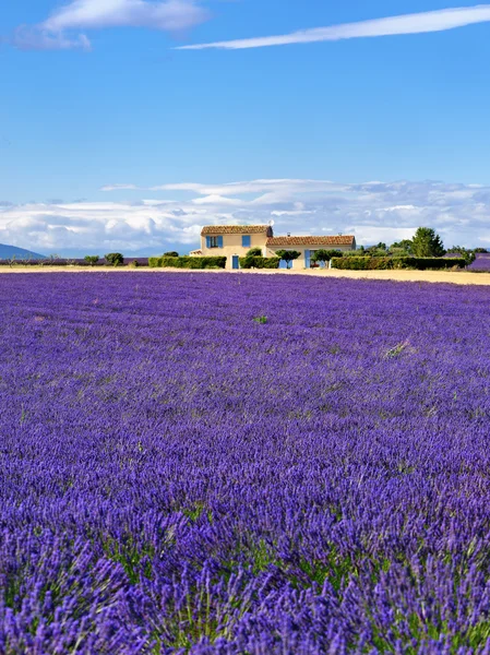 Provence rural landscape — Stock Photo, Image