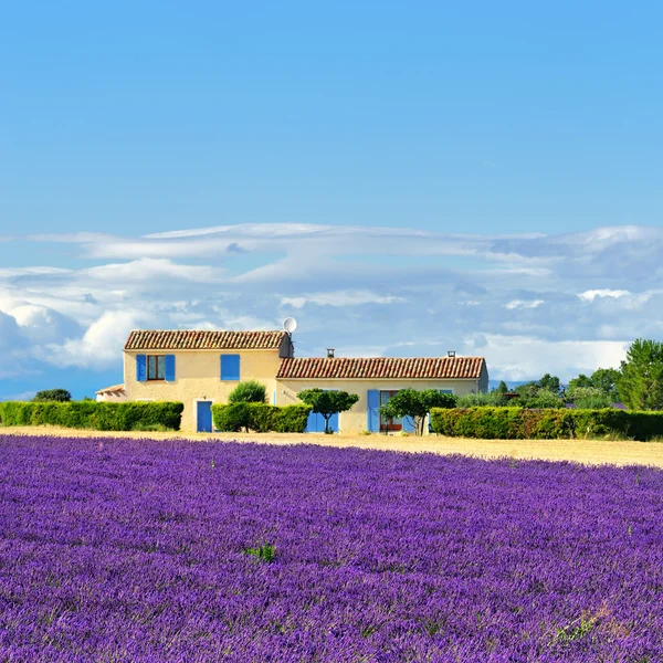 Provence landskapet — Stockfoto