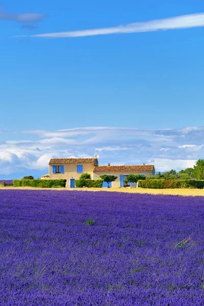 Provence rural landscape — Stock Photo, Image