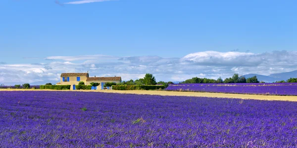 Provence kırsal manzara, Fransa — Stok fotoğraf