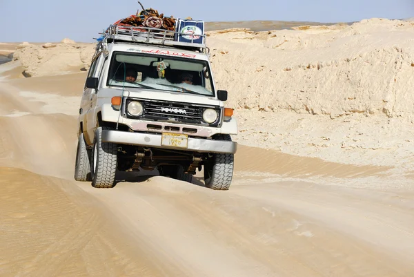 Sahara safari — Stockfoto