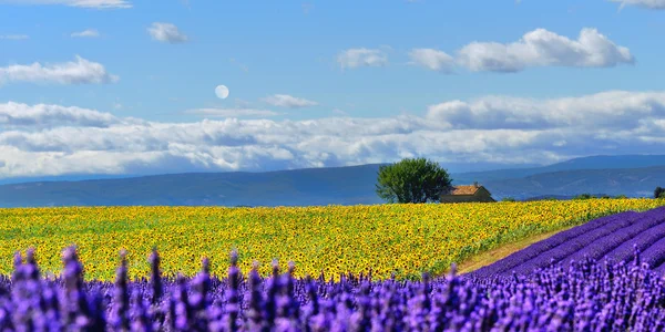 Venkovské krajiny Provence — Stock fotografie