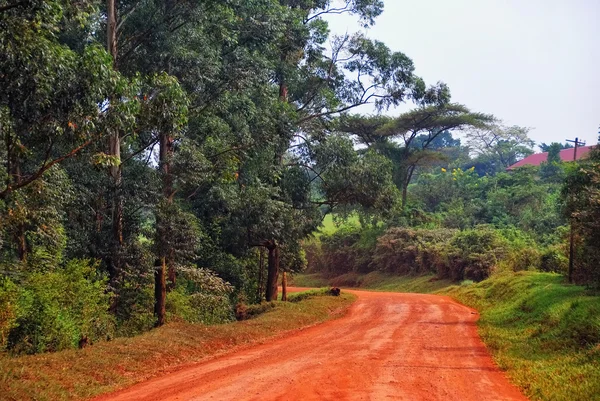 Ουγκάντα — Φωτογραφία Αρχείου