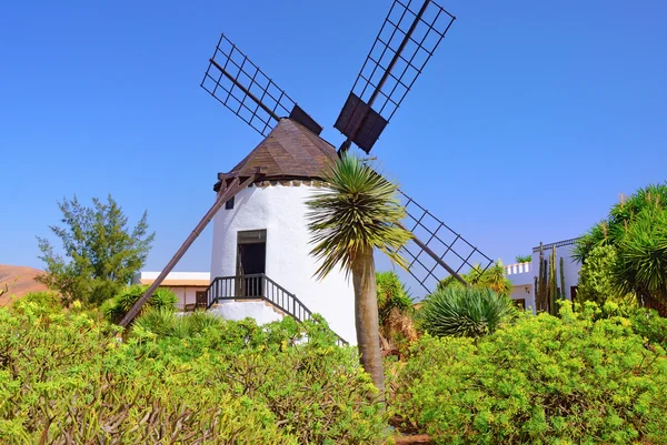 Windmolen — Stockfoto