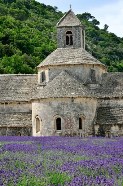 Senanque Manastırı — Stok fotoğraf