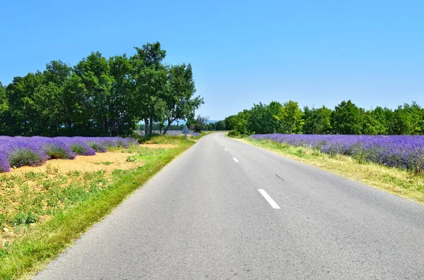 Estrada em Provence, Francia — Fotografia de Stock