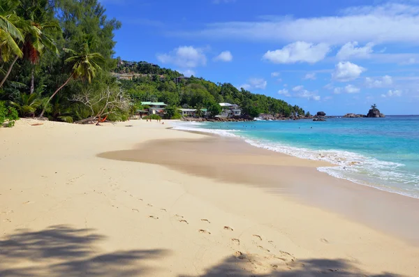 Tropisk sandstrand på Seychellerna öar — Stockfoto