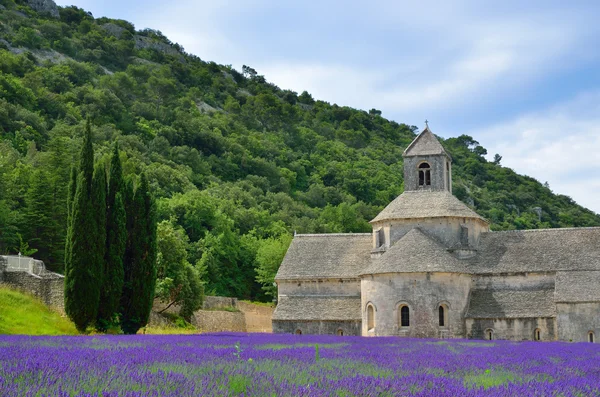 Abtei von Senanque, Frankreich — Stockfoto