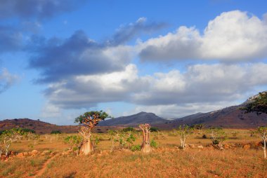 Sokotra Adası, Yemen
