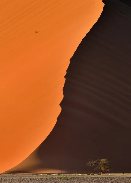 SOSSUSVLEI, Namib Naukluft Nationaal Park, Namibie — Stockfoto