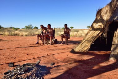 Bushmen Köyü, Kalahari Çölü, Namibya